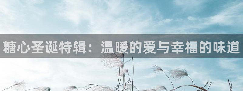 糖心国产传媒vlog：糖心圣诞特辑：温暖的爱与幸福的味道