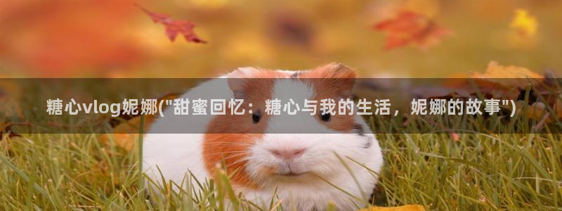 糖心vlog怎么看不了