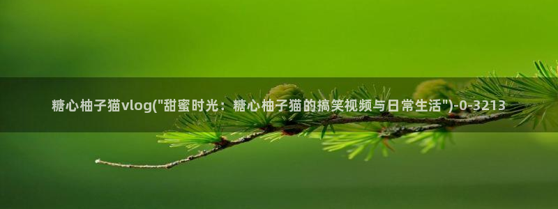 糖心vlog入口官网