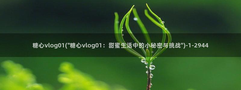 糖心vlog柚子在线