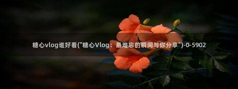 糖心vlog黄色视频：糖心vlog谁好看(\