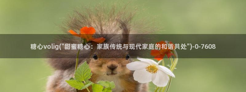 糖心vlog：糖心volig(\