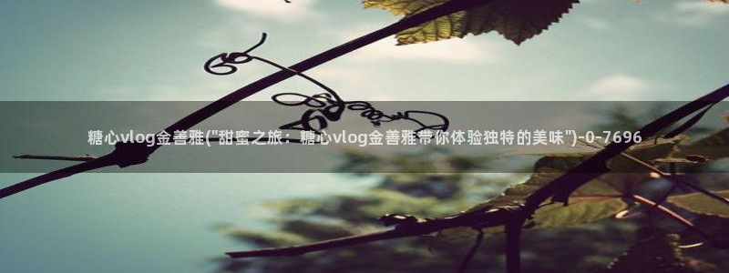 糖心vlog苹果版：糖心vlog金善雅(\