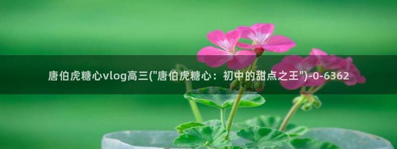 糖心vlog破解版下载www：唐伯虎糖心vlog高三(\