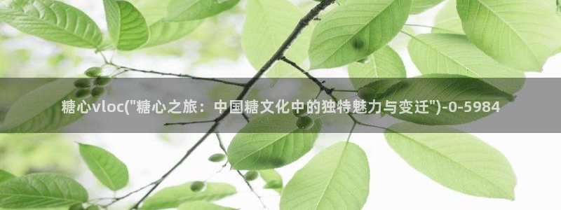 糖果心vlog免费版怎么下载：糖心vloc(\
