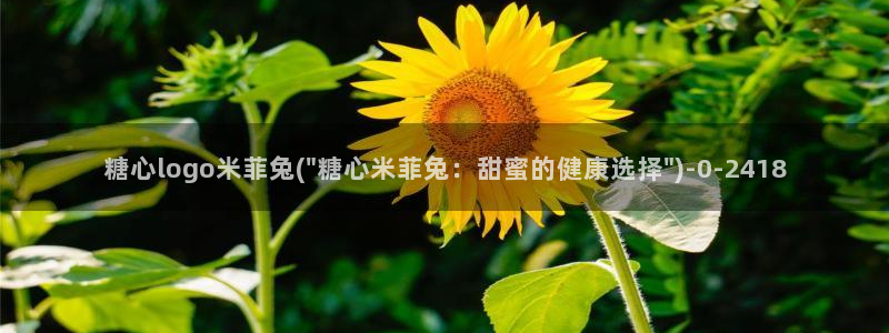 糖心小桃酱vlog：糖心logo米菲兔(\