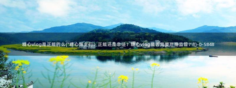 糖心vlog星辰：糖心vlog是正规的么(\
