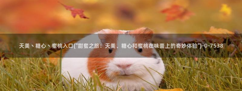 糖心vlog app下载